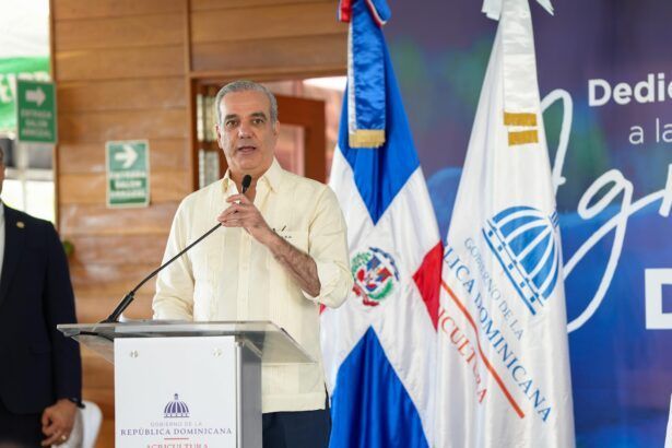El presidente Luis Abinader.