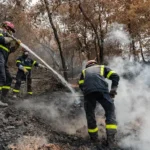 Incendios en Francia y España.