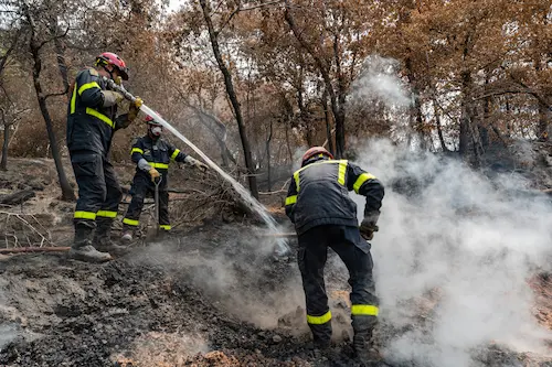 Incendios en Francia y España.