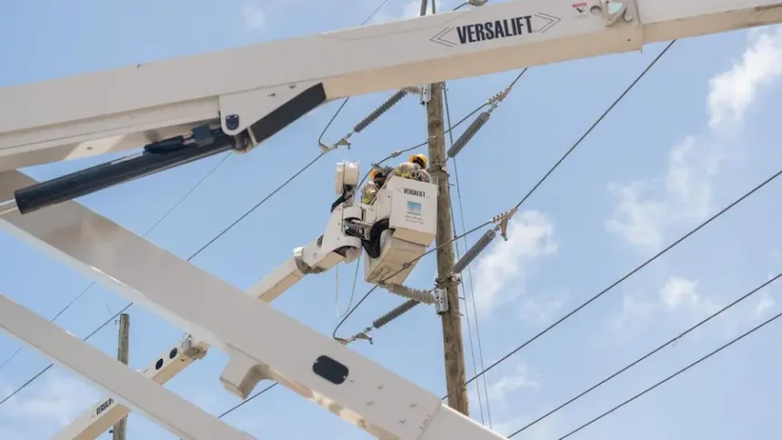 Sistema eléctrico.
