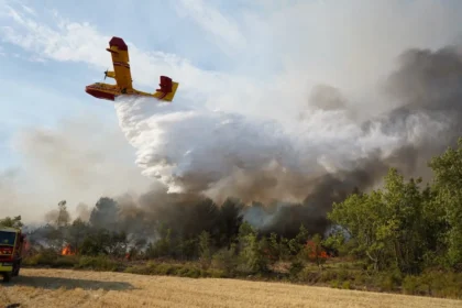 Incendios en Francia y España.