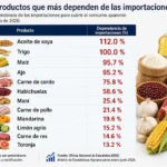 Alimentos que más dependen de importaciones en República Dominicana.