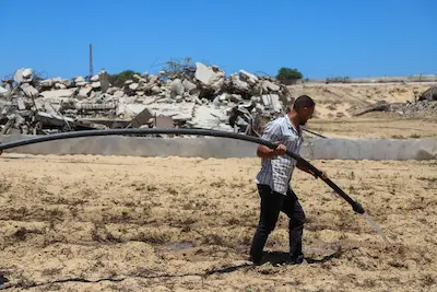 Imagen de la zona de Gaza. FAO.